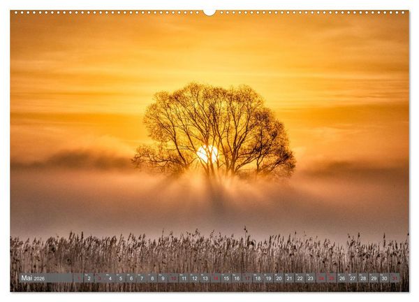 Produktbild: Naturlandschaft Elbe - Im Wechsel der Jahreszeiten (hochwertiger Premium Wandkalender 2026 DIN A2 quer), Kunstdruck in Hochglanz