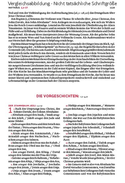 Produktbild: Die Bibel. Mit Sonderseiten für junge Menschen.