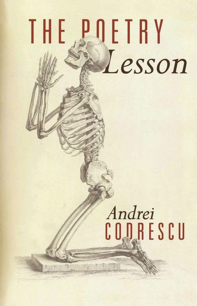 Produktbild: The Poetry Lesson