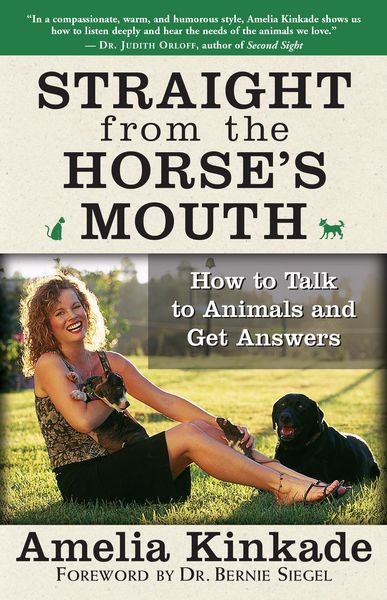 Produktbild: Straight from the Horse's Mouth