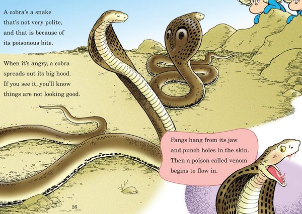 Produktbild: Miles and Miles of Reptiles