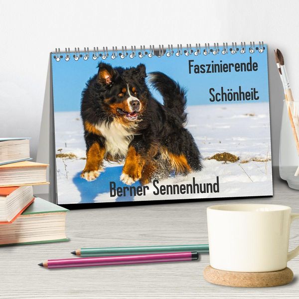 Produktbild: Faszinierende Sch&ouml;nheit Berner Sennenhund (Tischkalender 2026 DIN A5 quer), CALVENDO Monatskalender