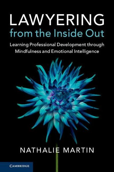 Produktbild: Lawyering from the Inside Out