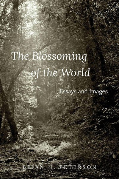Produktbild: The Blossoming of the World