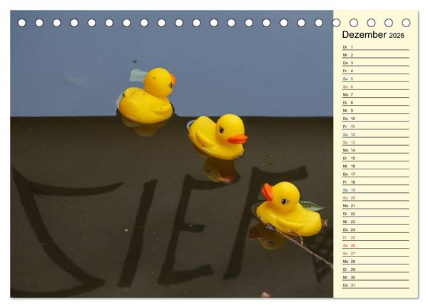 Produktbild: Enten-Rennen (Tischkalender 2026 DIN A5 quer), CALVENDO Monatskalender