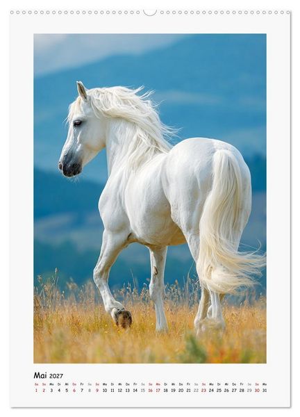 Produktbild: Lippizaner Poesie. Edle Pferde zum Tr&auml;umen und Verlieben (hochwertiger Premium Wandkalender 2027 DIN A2 hoch), Kunstdruck in Hochglanz