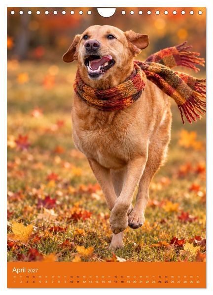 Produktbild: Goldener Herbst Eine tierische Fantasiewelt (Wandkalender 2027 DIN A4 hoch), CALVENDO Monatskalender