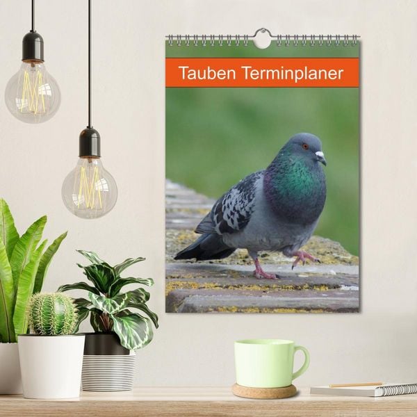 Produktbild: Tauben Terminplaner (Wandkalender 2026 DIN A4 hoch), CALVENDO Monatskalender