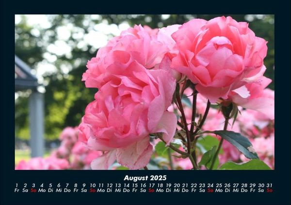 Produktbild: Pflanzen und Bl&uuml;ten 2025 Fotokalender DIN A4