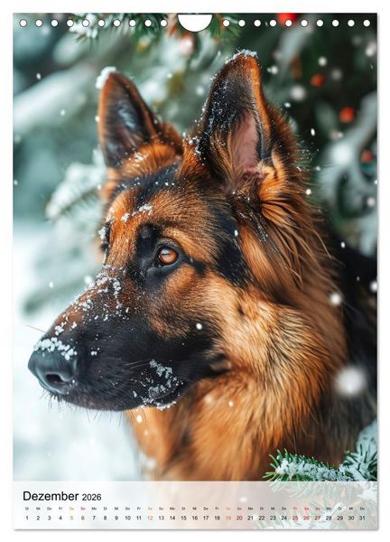 Produktbild: Deutscher Sch&auml;ferhund - mutig und zuverl&auml;ssig (Wandkalender 2026 DIN A4 hoch), CALVENDO Monatskalender