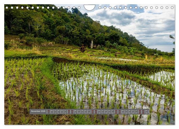 Produktbild: Entdecke Sumatra (Wandkalender 2026 DIN A4 quer), CALVENDO Monatskalender