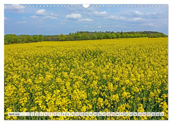 Produktbild: Die Eifel und das Hohe Venn (Wandkalender 2026 DIN A3 quer), CALVENDO Monatskalender