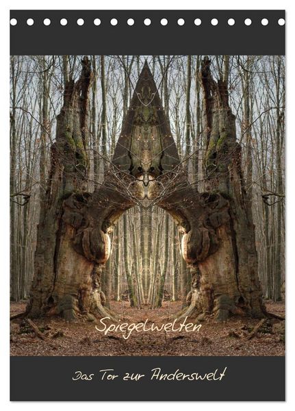 Spiegelwelten - Das Tor zur Anderswelt (Tischkalender 2026 DIN A5 hoch), CALVENDO Monatskalender