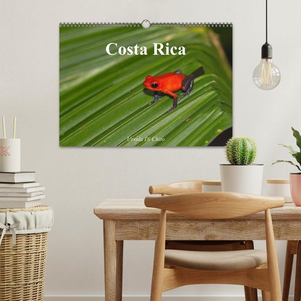 Produktbild: Costa Rica (Wandkalender 2026 DIN A3 quer), CALVENDO Monatskalender