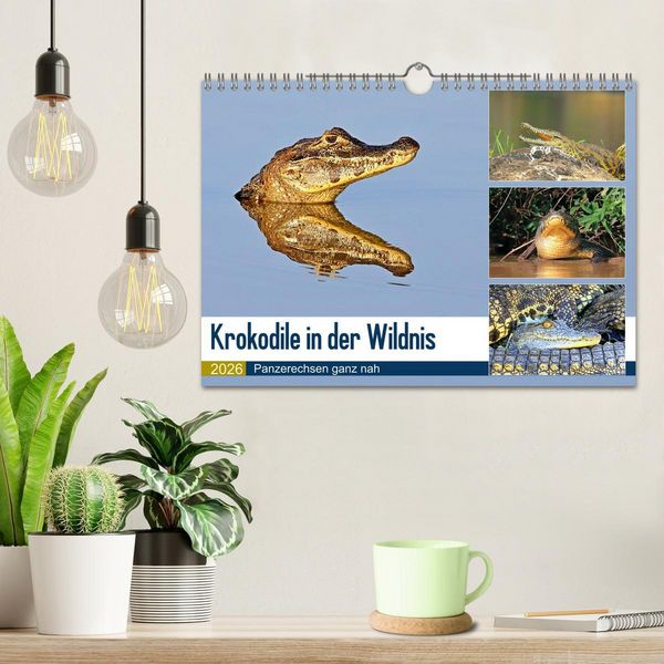 Produktbild: Krokodile in der Wildnis (Wandkalender 2026 DIN A4 quer), CALVENDO Monatskalender