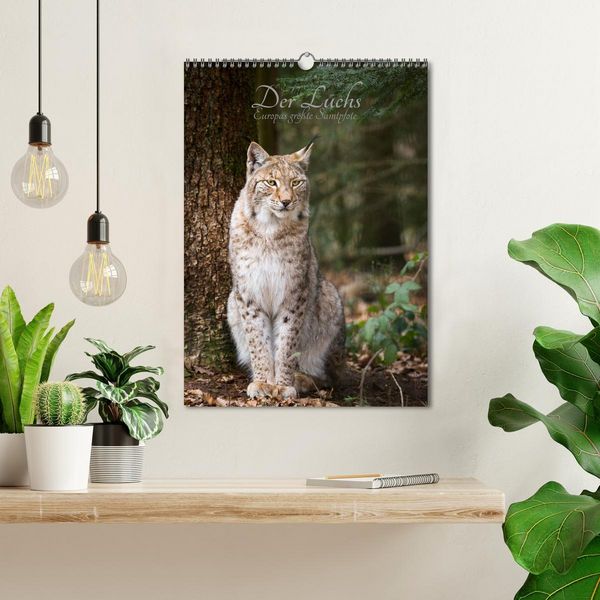 Produktbild: Der Luchs - Europas gr&ouml;&szlig;te Samtpfote (Wandkalender 2026 DIN A3 hoch), CALVENDO Monatskalender