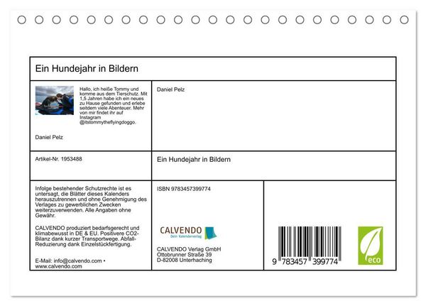 Produktbild: Ein Hundejahr in Bildern (Tischkalender 2026 DIN A5 quer), CALVENDO Monatskalender