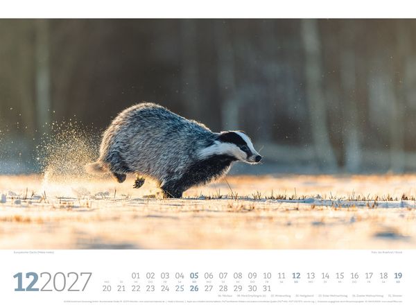 Produktbild: Tierwelt Wald Kalender 2027