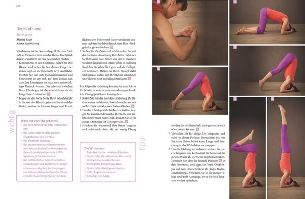 Produktbild: Yoga! Die besten &Uuml;bungen