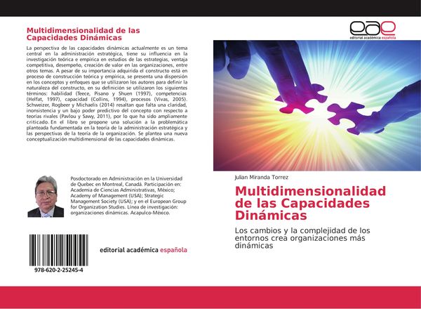 Produktbild: Multidimensionalidad de las Capacidades Din&aacute;micas