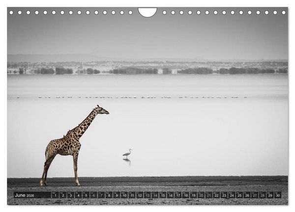 Produktbild: tanzania fine art (Wall Calendar 2026 DIN A4 landscape), CALVENDO 12 Month Wall Calendar