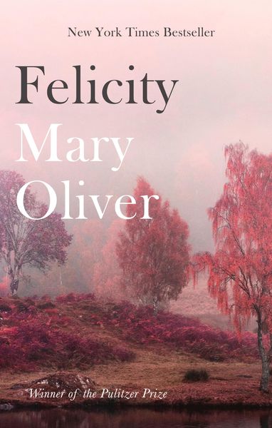 Produktbild: Felicity