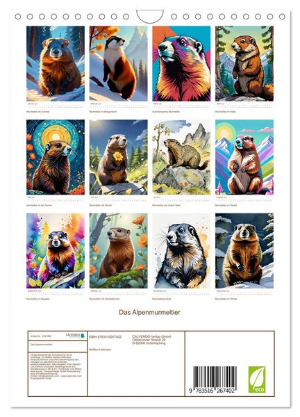 Produktbild: Das Alpenmurmeltier (Wandkalender 2026 DIN A4 hoch), CALVENDO Monatskalender