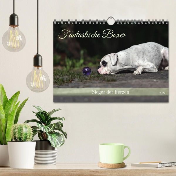 Produktbild: Fantastische Boxer - Sieger der Herzen (Wandkalender 2027 DIN A4 quer), CALVENDO Monatskalender