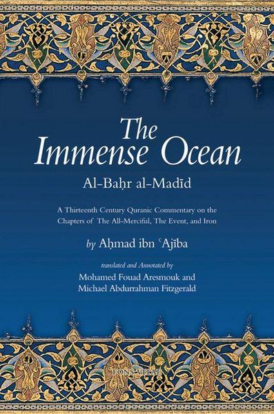 Produktbild: The Immense Ocean