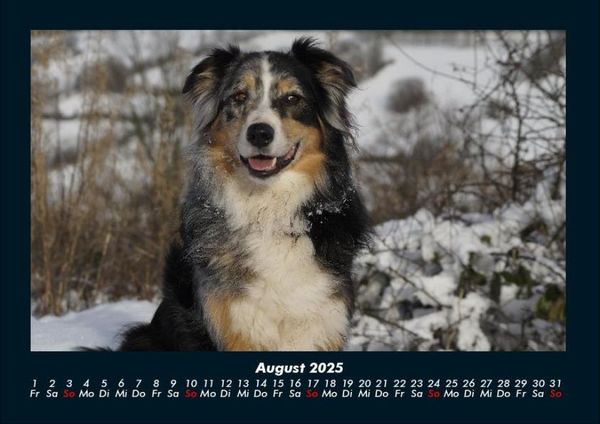 Produktbild: Winterzauber 2025 Fotokalender DIN A4