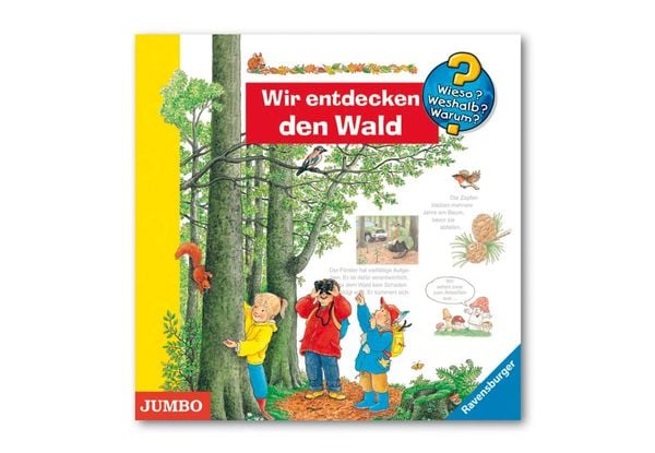 Wir Entdecken Den Wald