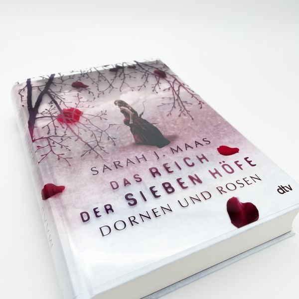 Produktbild: Dornen und Rosen / Das Reich der sieben H&ouml;fe Band 1