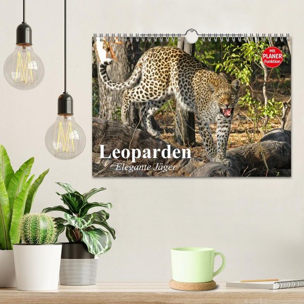 Produktbild: Leoparden. Elegante J&auml;ger (Wandkalender 2026 DIN A4 quer), CALVENDO Monatskalender