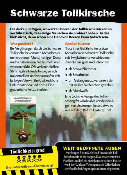 Produktbild: Die 100 tödlichsten Dinge der Welt
