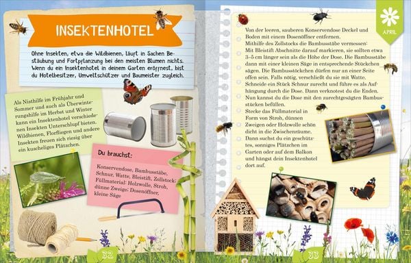 Produktbild: Naturforscher-Kids &ndash; Durch das Jahr