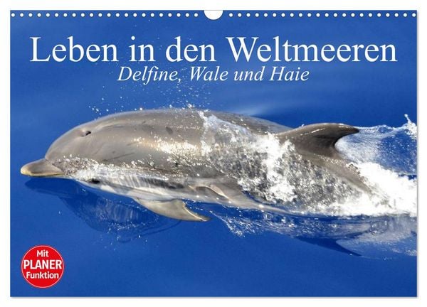 Produktbild: Leben in den Weltmeeren. Delfine, Wale und Haie (Wandkalender 2026 DIN A3 quer), CALVENDO Monatskalender