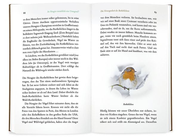 Produktbild: Kleine Philosophie der V&ouml;gel