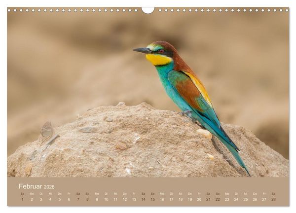 Produktbild: Jenseits der Z&auml;une (Wandkalender 2026 DIN A3 quer), CALVENDO Monatskalender