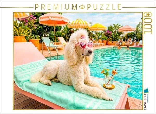 CALVENDO Puzzle Pudeldame am Pool - Sommer Glamour | 1000 Teile Lege-Größe 64x48cm Foto-Puzzle für glückliche Stunden