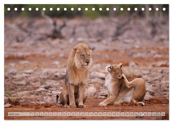Produktbild: NAMIBIA Christian Heeb (Tischkalender 2026 DIN A5 quer), CALVENDO Monatskalender
