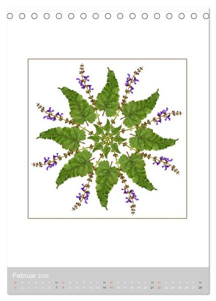 Produktbild: Pflanzen - Mandalas aus Bl&uuml;ten und Bl&auml;ttern (Tischkalender 2026 DIN A5 hoch), CALVENDO Monatskalender