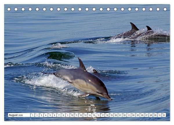 Produktbild: Schottland - Der Norden Gro&szlig;britanniens (Tischkalender 2026 DIN A5 quer), CALVENDO Monatskalender