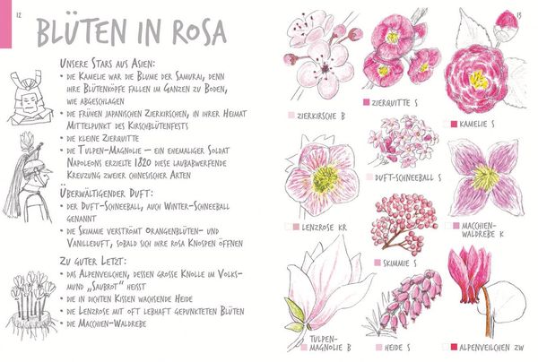 Produktbild: Ich sehe was, was ich nicht kenn&acute;