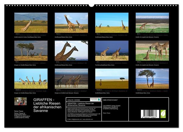 Produktbild: GIRAFFEN - Liebliche Riesen der afrikanischen Savanne (hochwertiger Premium Wandkalender 2026 DIN A2 quer), Kunstdruck in Hochglanz