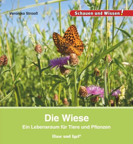 Die Wiese, Gebundene Ausgabe von Veronika Straass, Hase und Igel Verlag, 978-3-86760-792-6