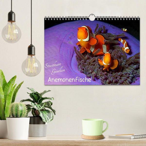 Produktbild: Anemonenfische - Streitbare Gesellen (Wandkalender 2026 DIN A4 quer), CALVENDO Monatskalender