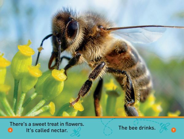 Produktbild: Buzz, Bee! (National Geographic Kids Readers, Pre-Reader)