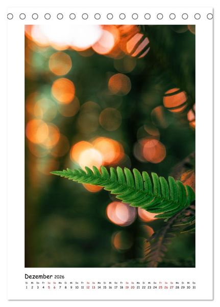 Produktbild: Bubble Bokeh (Tischkalender 2026 DIN A5 hoch), CALVENDO Monatskalender
