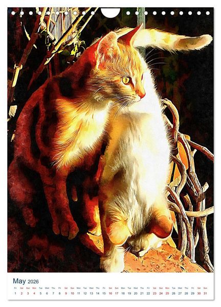 Produktbild: Umbrian Cats (Wall Calendar 2026 DIN A4 portrait), CALVENDO 12 Month Wall Calendar