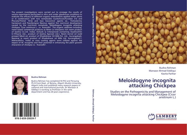 Produktbild: Meloidogyne incognita attacking Chickpea